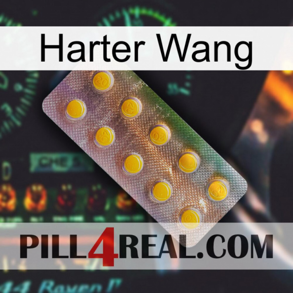 Hard Wang new11
